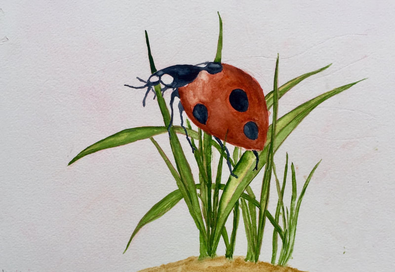 Ladybug, 2022, watercolour